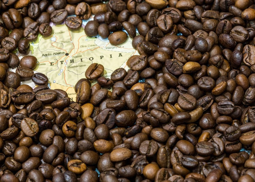 African vs. Latin American Coffee: What Makes It Unique?