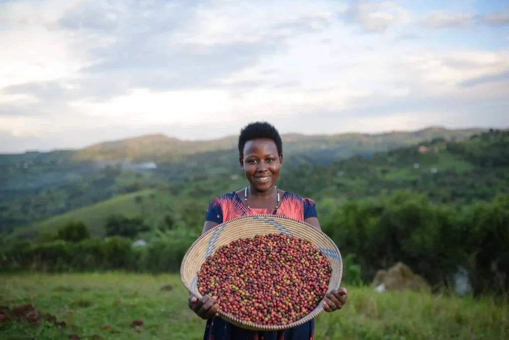 Women in African Coffee: Empowerment Through Farming and Trade