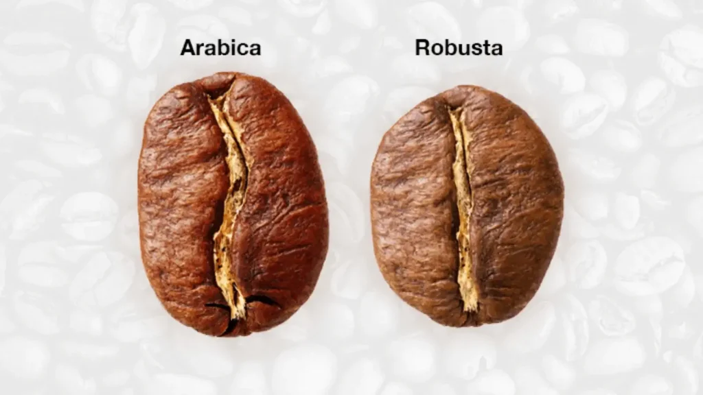 Arabica vs Robusta: The African Perspective